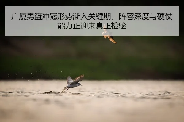 guang-sha-nan-lan-chong-guan-xing-shi-jian-ru-guan-jian-qi-zhen-rong-shen-du-yu-ying-zhang-neng-li-zheng-ying-lai-zhen-3-187.jpg